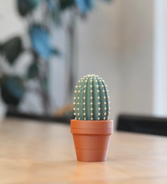 CACTUS CLICKER