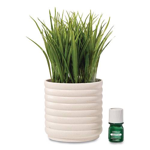 LIFELINES PLANT DIFFUSER GRASS