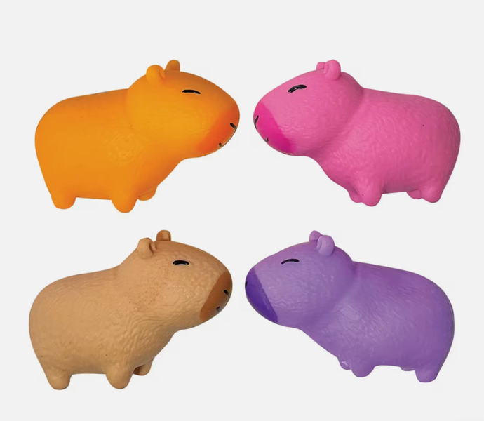 CAPYBARA STRETCHY SAND TOY