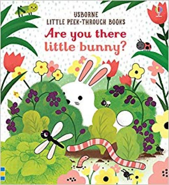 ARE YOU THERE LITTLE BUNNY?
