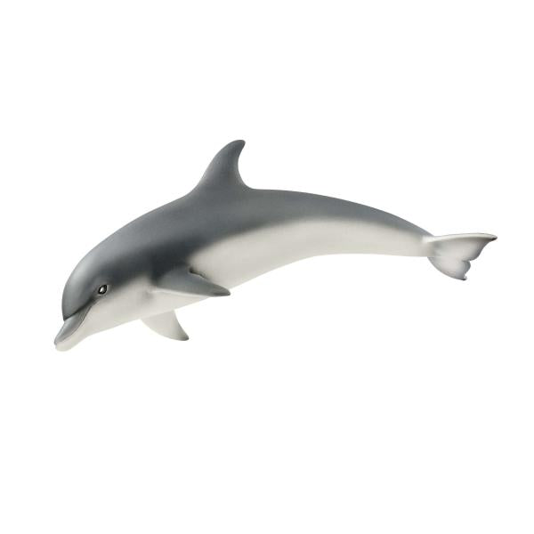 DOLPHIN