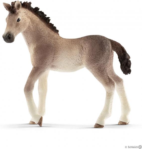 ANDALUSIAN FOAL