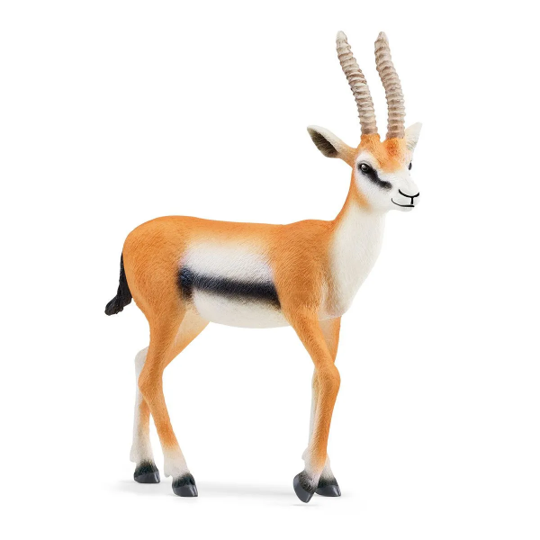 GAZELLE