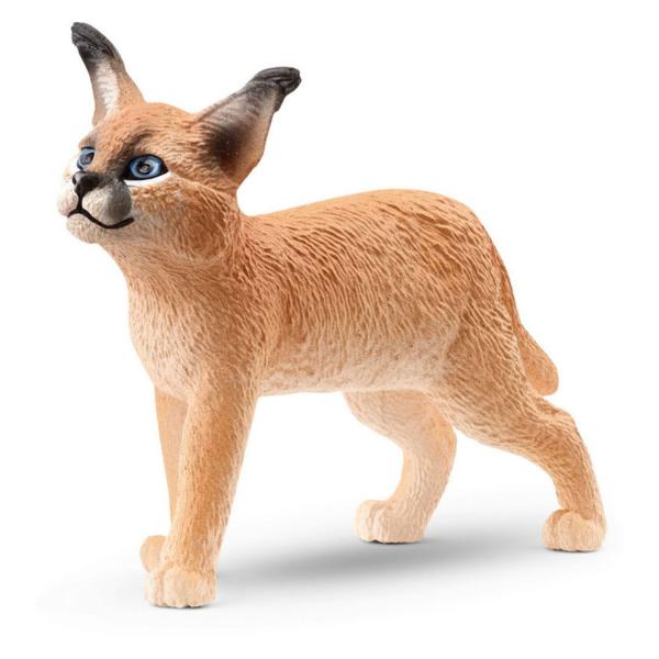 CARACAL CUB