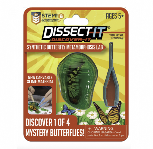 DISSECT IT SYNTHETIC BUTTERFLY METAMORPHOSIS LAB
