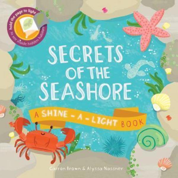 SECRETS OF THE SEASHORE: A SHINE-A-LIGHT BOOK
