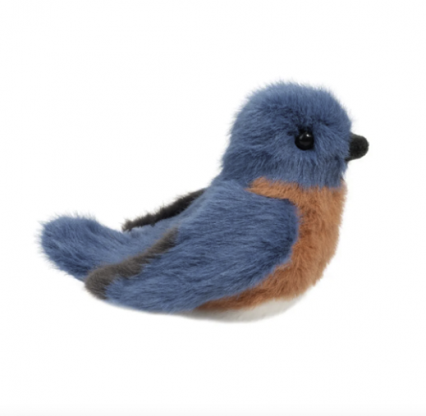 BERTIE BLUEBIRD