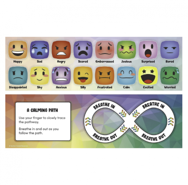SOCIAL-EMOTIONAL MOOD METER INDIVIDUAL