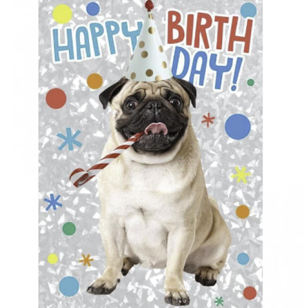 GREETING CARD: HAPPY BIRTHDAY PUPPY