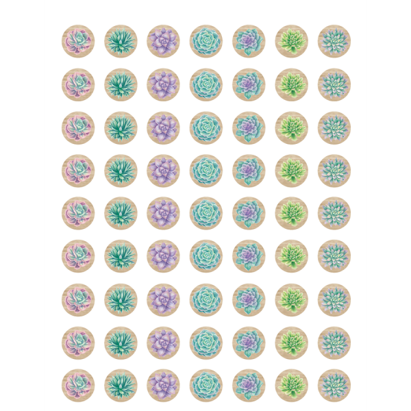 (SALE) (D) MINI STICKERS: RUSTIC BLOOM SUCCULENTS