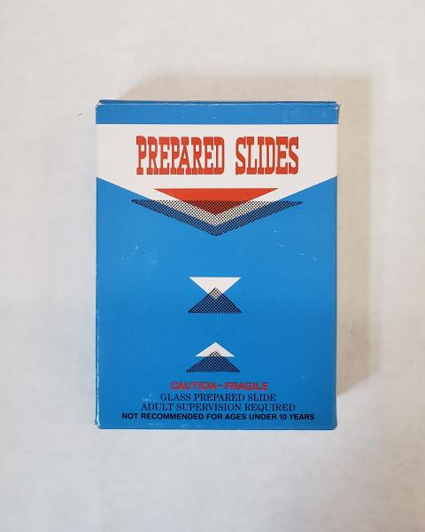 (SALE) PREPARED SLIDES: PLANTS