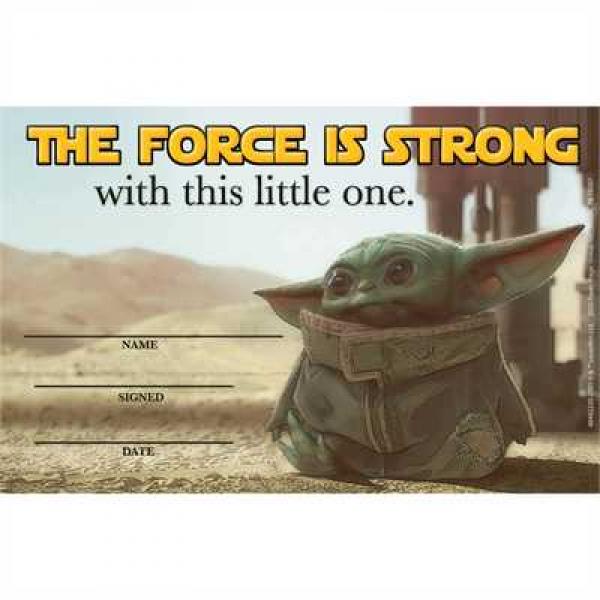 AWARDS: THE MANDALORIAN CHILD