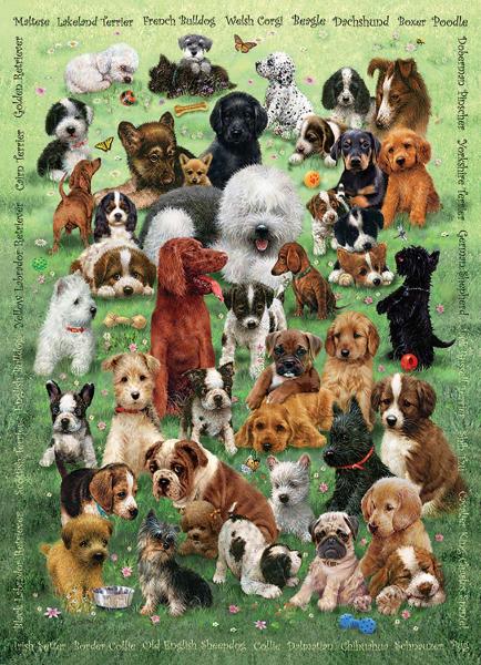 PUZZLE: FAMILY PIECES PUPPY LOVE 350 PIECES