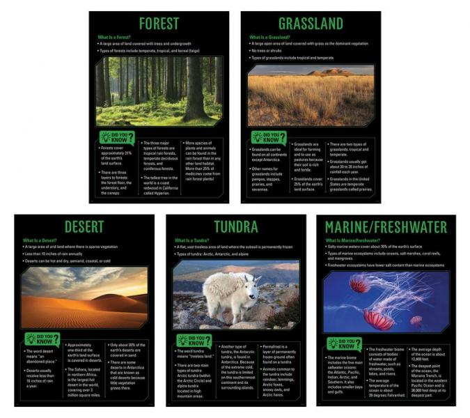 (SALE) POSTER SET: ECOSYSTEMS