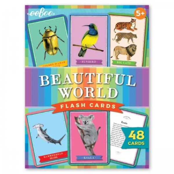 BEAUTIFUL WORLD FLASHCARDS
