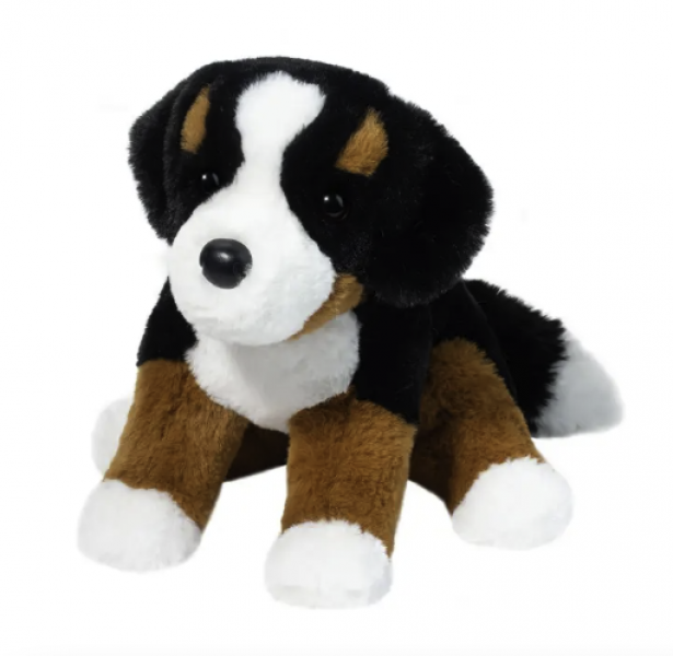 BOWIE BERNESE MOUNTAIN DOG