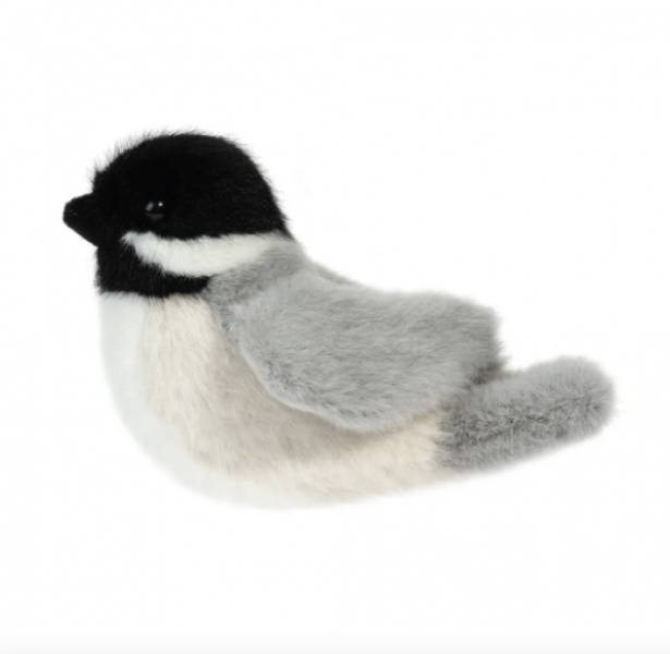 CHIPPER CHICKADEE BIRD