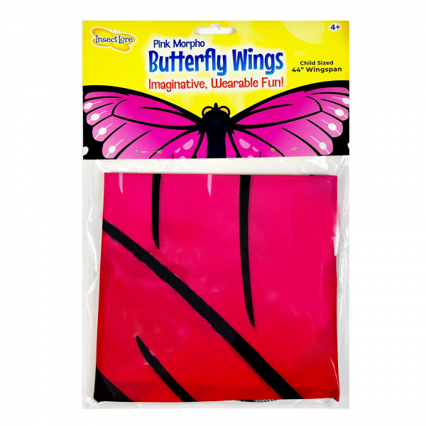 PINK MORPHO BUTTERFLY WINGS