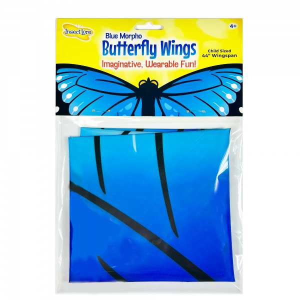 BLUE MORPHO BUTTERFLY WINGS