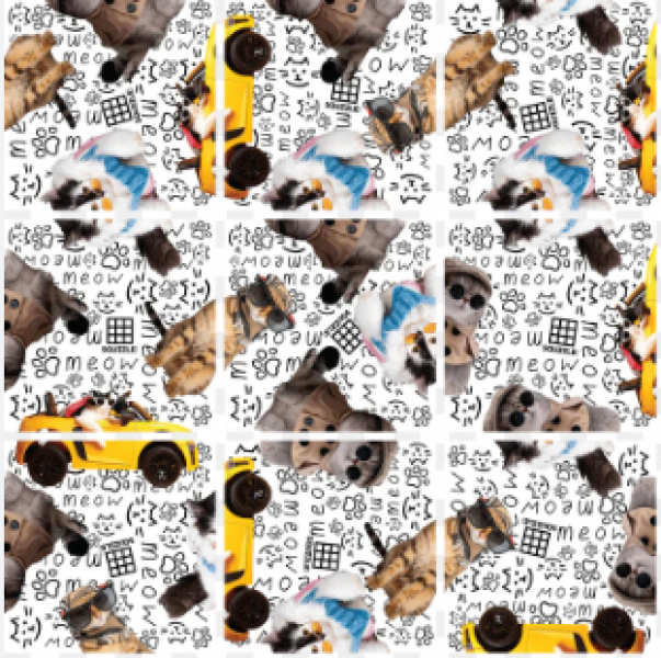 SQUZZLE COOL CATS