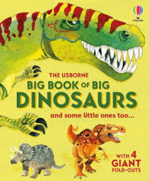 BIG BOOK OF BIG DINOSAURS AND SOME LITTLE ONES TOO...