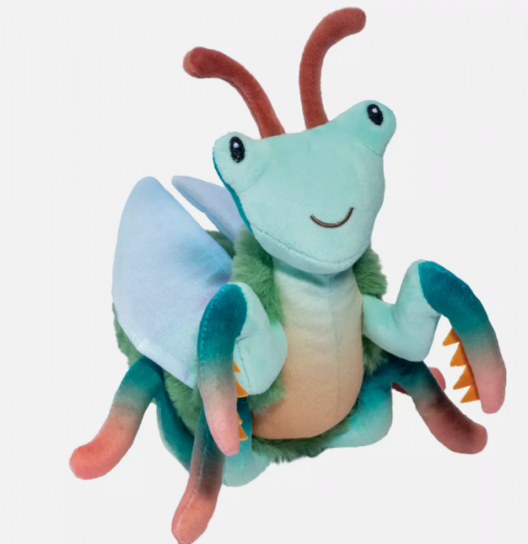 MICAH PRAYING MANTIS