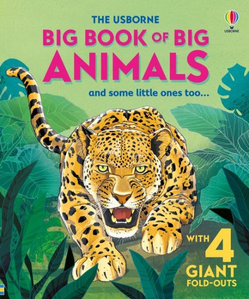 BIG BOOK OF BIG ANIMALS AND SOME LITTLE ONES TOO...