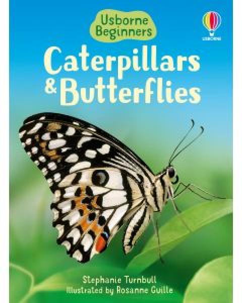 BEGINNERS CATERPILLARS & BUTTERFLIES