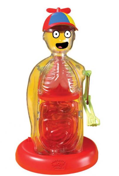 THE AMAZING HUMAN BODY