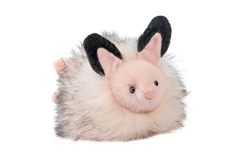 SKIMMER SEA BUNNY SLUG