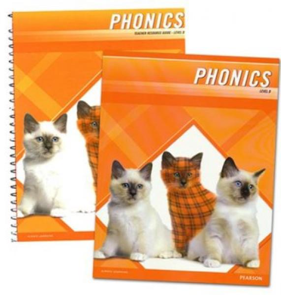 PLAID PHONICS BUNDLE LEVEL D