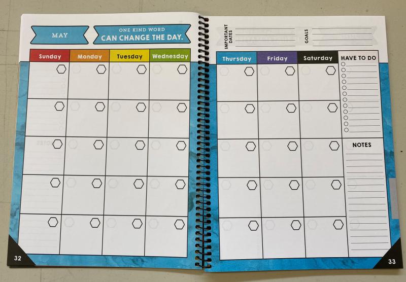 LESSON PLAN BOOK: LET'S DO THIS! CELEBRATE LEARNING