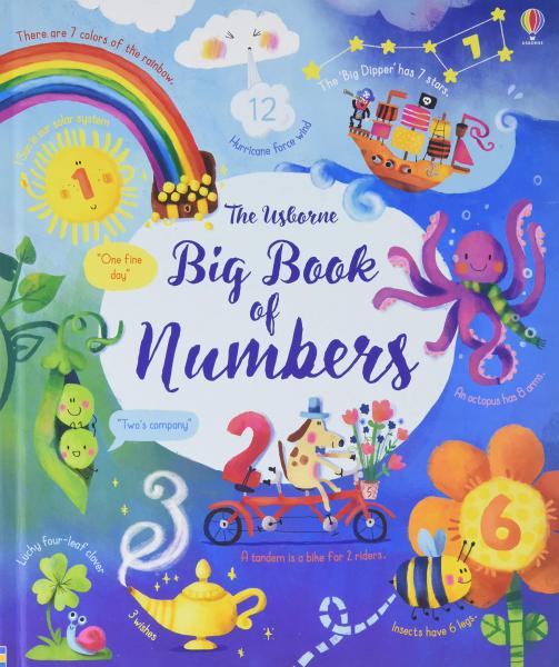 BIG BOOK OF NUMBERS