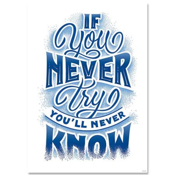 POSTER: IF YOU NEVER TRY…