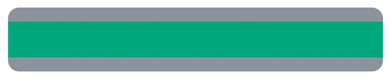 DOUBLE WIDE READING GUIDE STRIP GREEN