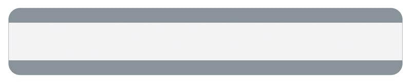 DOUBLE WIDE READING GUIDE STRIP CLEAR