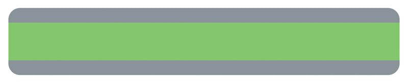 DOUBLE WIDE READING GUIDE STRIP LIGHT GREEN