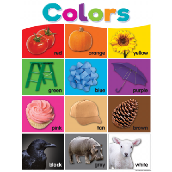 CHART: COLORS COLORFUL