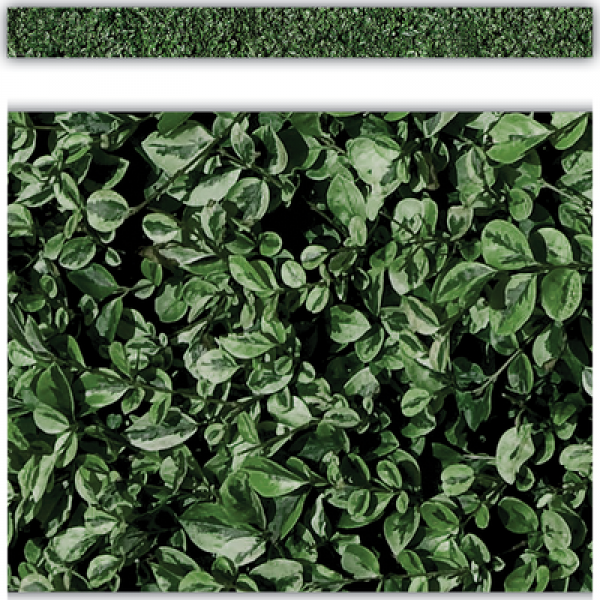 BORDER: BOXWOOD MODERN FARMHOUSE