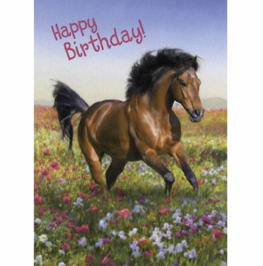 GREETING CARD: HAPPY BIRTHDAY HORSE