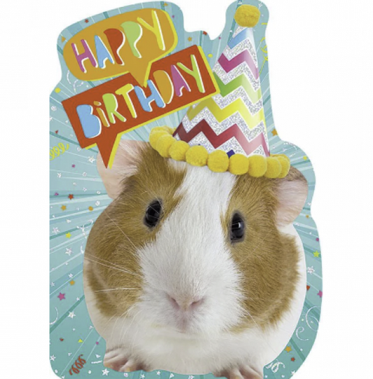 GREETING CARD: HAPPY BIRTHDAY GUINEA PIG