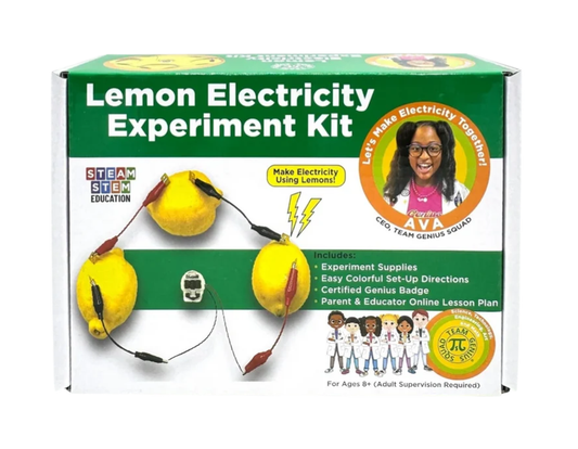 LEMON ELECTRICITY EXPERIMENT KIT