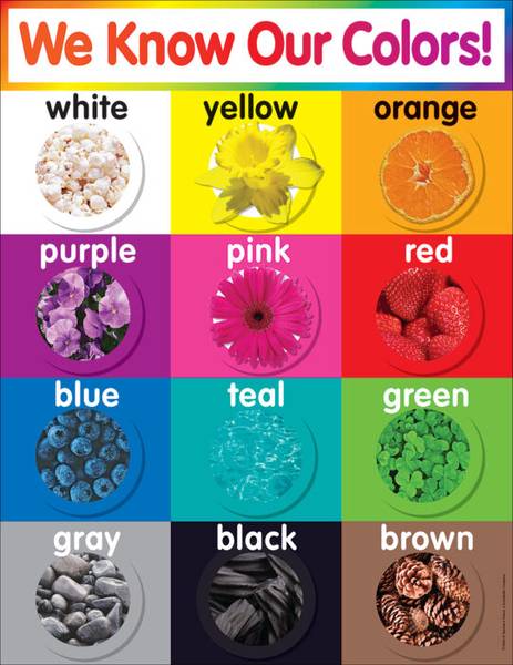 CHART: WE KNOW OUR COLORS