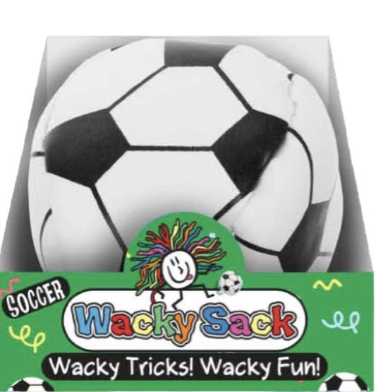 WACKY SACK SOCCER