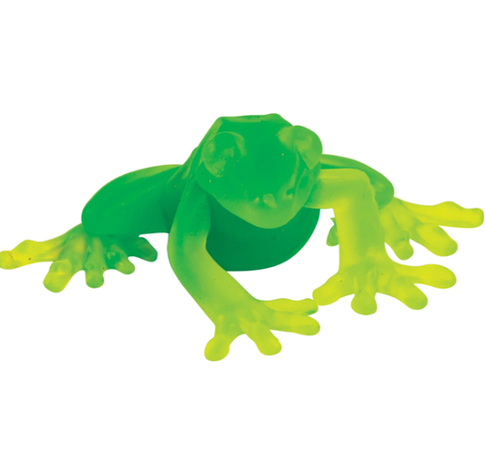 COLOR MORPH FROGGY SQUISHY ASSORTED