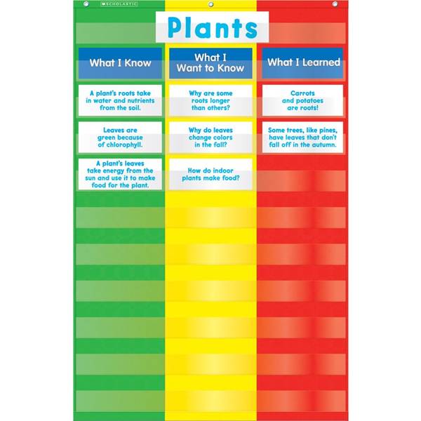 POCKET CHART: 3-COLUMN CHART