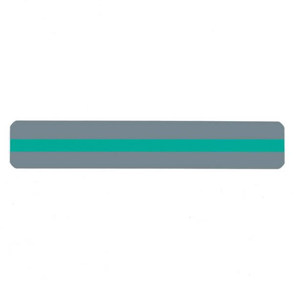 READING GUIDE STRIP GREEN