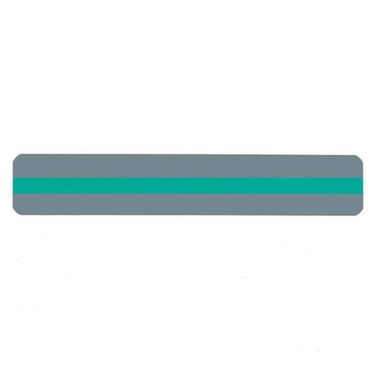 READING GUIDE STRIP GREEN