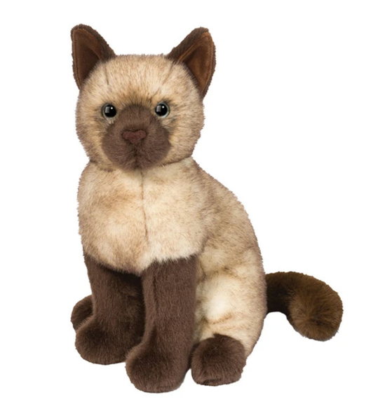 CHAI SIAMESE CAT