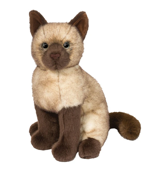 CHAI SIAMESE CAT